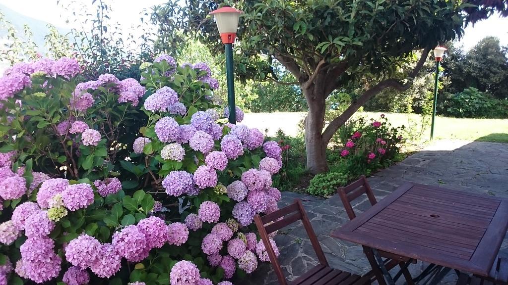 Villa Venino Монеглия Екстериор снимка
